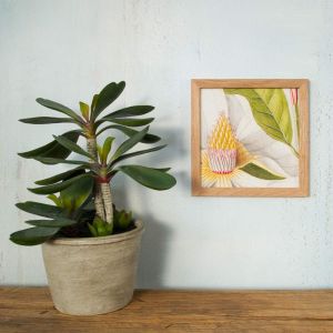 Framed Square Botanical Pistil Print