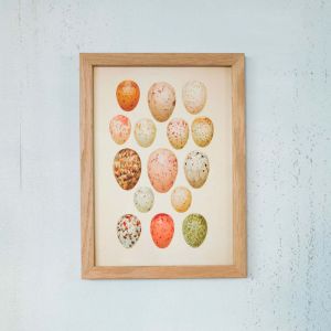 Framed Rectangular Earthy Eggs Print
