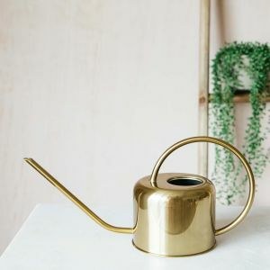 Copper Plated Watering Can