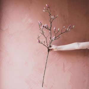 Magnolia Pink Branch