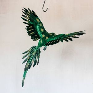 Green Flying Parrot