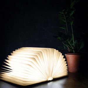 Walnut Smart Book Lights