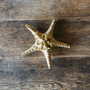Gold Starfish Ornaments