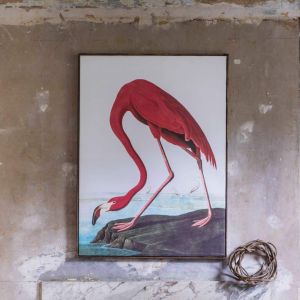Flamingo Print In Frame