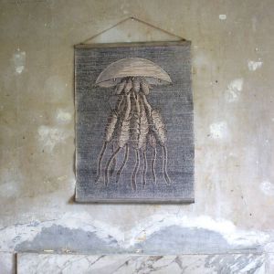 Vintage Jellyfish Wall Chart 