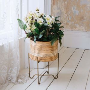 Cane Indoor Plant Stand