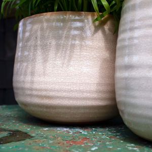 Ivory Crackle Glazed Pots