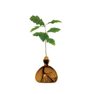 Brown Acorn Vase