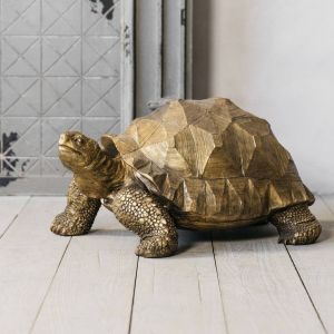 Tarquin the Tortoise