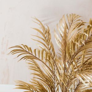 Gold Areca Palms
