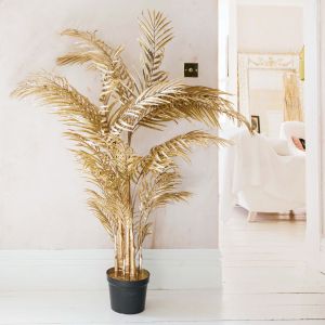 Gold Areca Palms