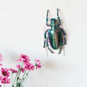 Iridescent Black Beetles