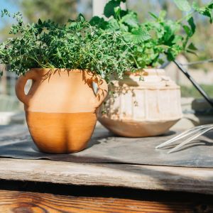Terracotta Curved Handle Plant Pot