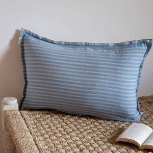 Light Blue Cushion 