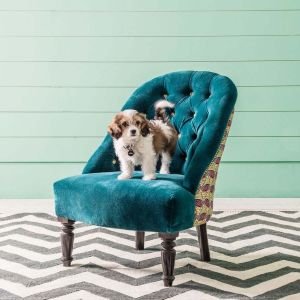 Brielle Blue Anyi Print Chair