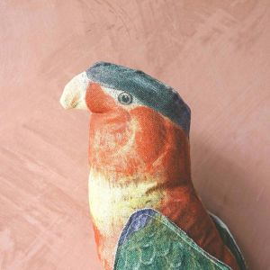 Red and Green Polly Parrot Cushion