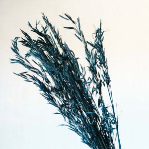 Dried Black Wheat Grass