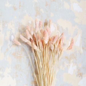 Dried Pink Reed Grass Bunch