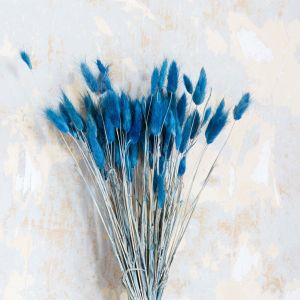 Blue Hare's Tail Grass Bunch