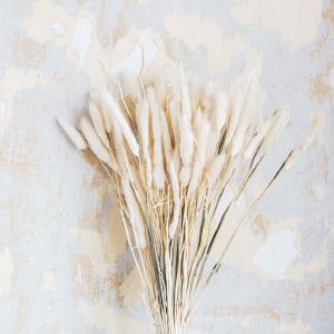 Dried Natural Hare's Tail Grass