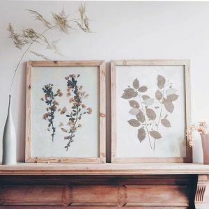 Set of Two Framed Plant Prints