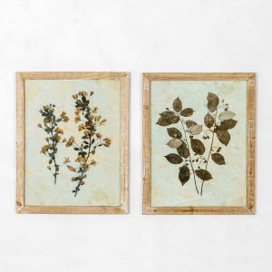 Set Of Two Framed Plant Prints