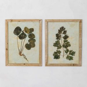 Set of Two Framed Leaf Prints