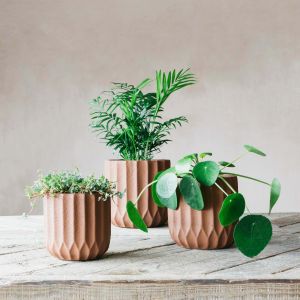 Large Brown Ribbed Cement Planter