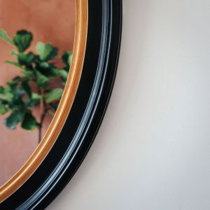 Blake Oval Black and Gold Mirror