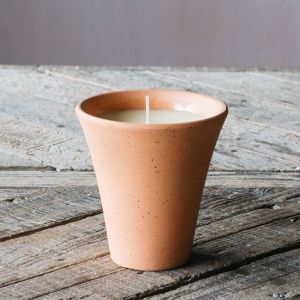 Bay Leaf and Rosemary Potted Candle