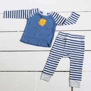 Lion Two Piece Play Set