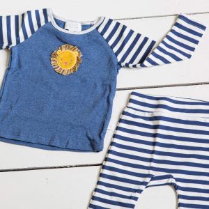 Lion Two Piece Play Set