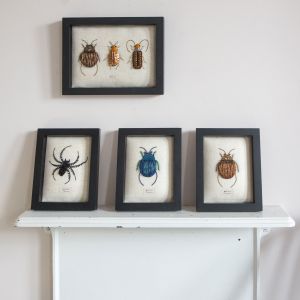 Framed Embroidered Blue Beetle