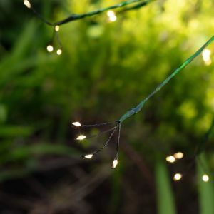 Green Dandelion Light Small