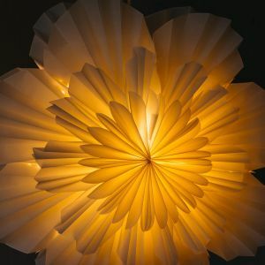 Large Flower Paper Shade