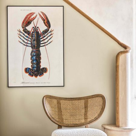 Large Framed Lobster Print