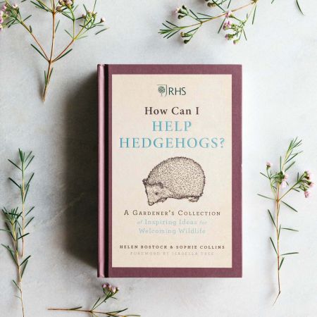 How Can I Help Hedgehogs Book