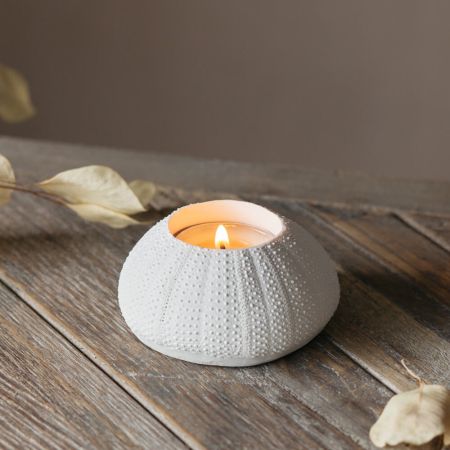 White Urchin Candle Holder