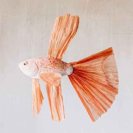 Coral Fish Decoration