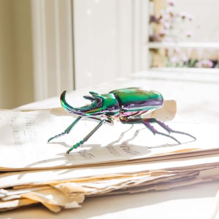 Multicoloured Stag Beetle