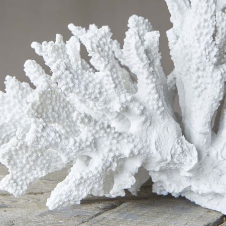 White Ceramic Coral