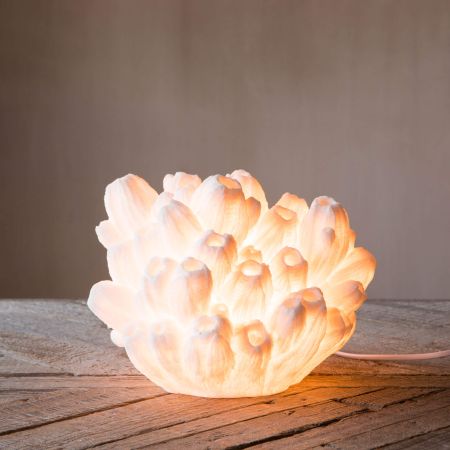 Arbuscular Coral Lamp