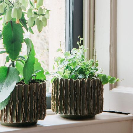 Green Wavy Ceramic Plant Pot