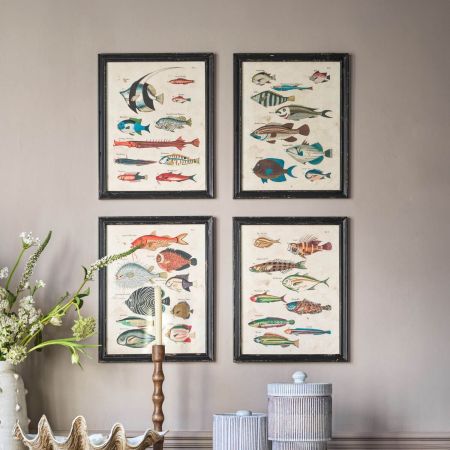 Set of Four Multicolour Fish Prints