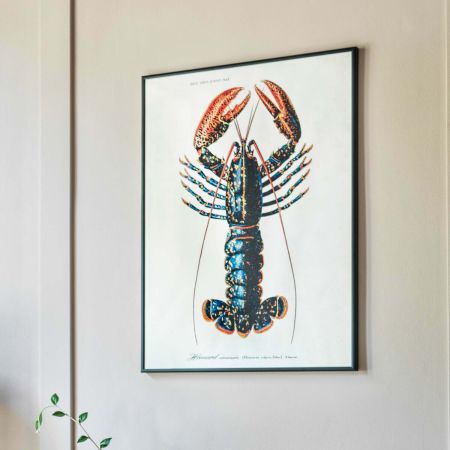Medium Framed Lobster Print