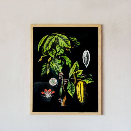 Small Framed Cacao Print