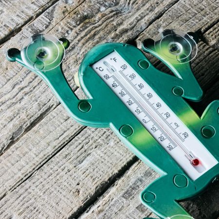 Frog Thermometer