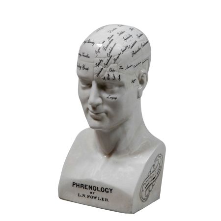 Large Antiqued Phrenology Head