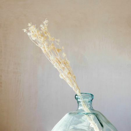 Dried White Sea Holly Bunch