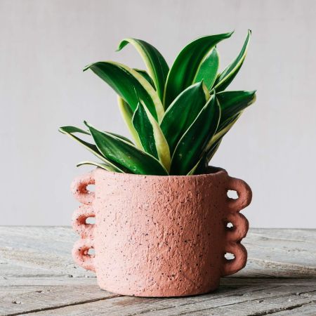Orange Looped Handle Plant Pot